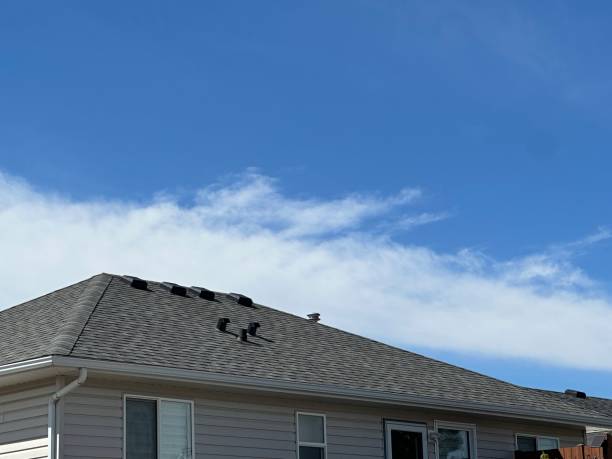 Fast & Reliable Emergency Roof Repairs in Moultrie, GA